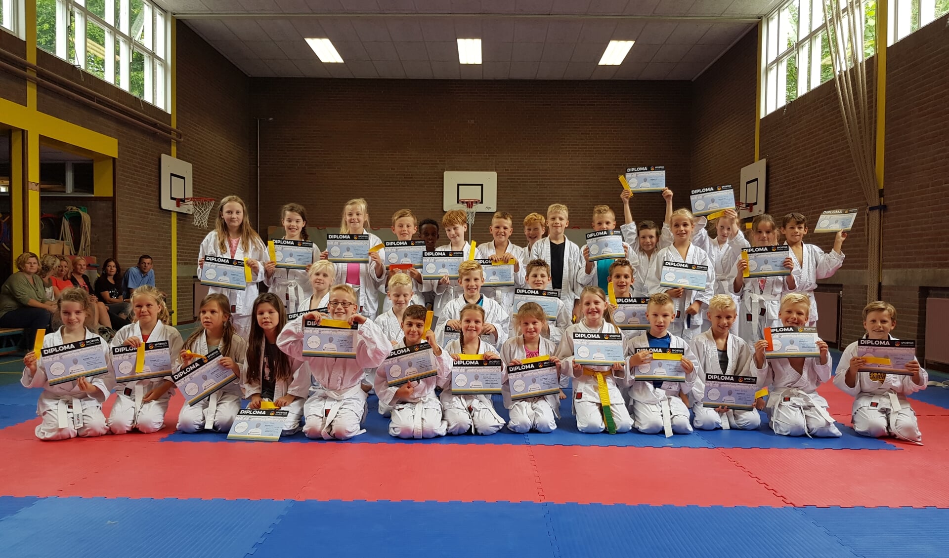 Kinderen van basisscholen de Schakel en de Regenboog slagen voor het judo-examen. Foto: PR