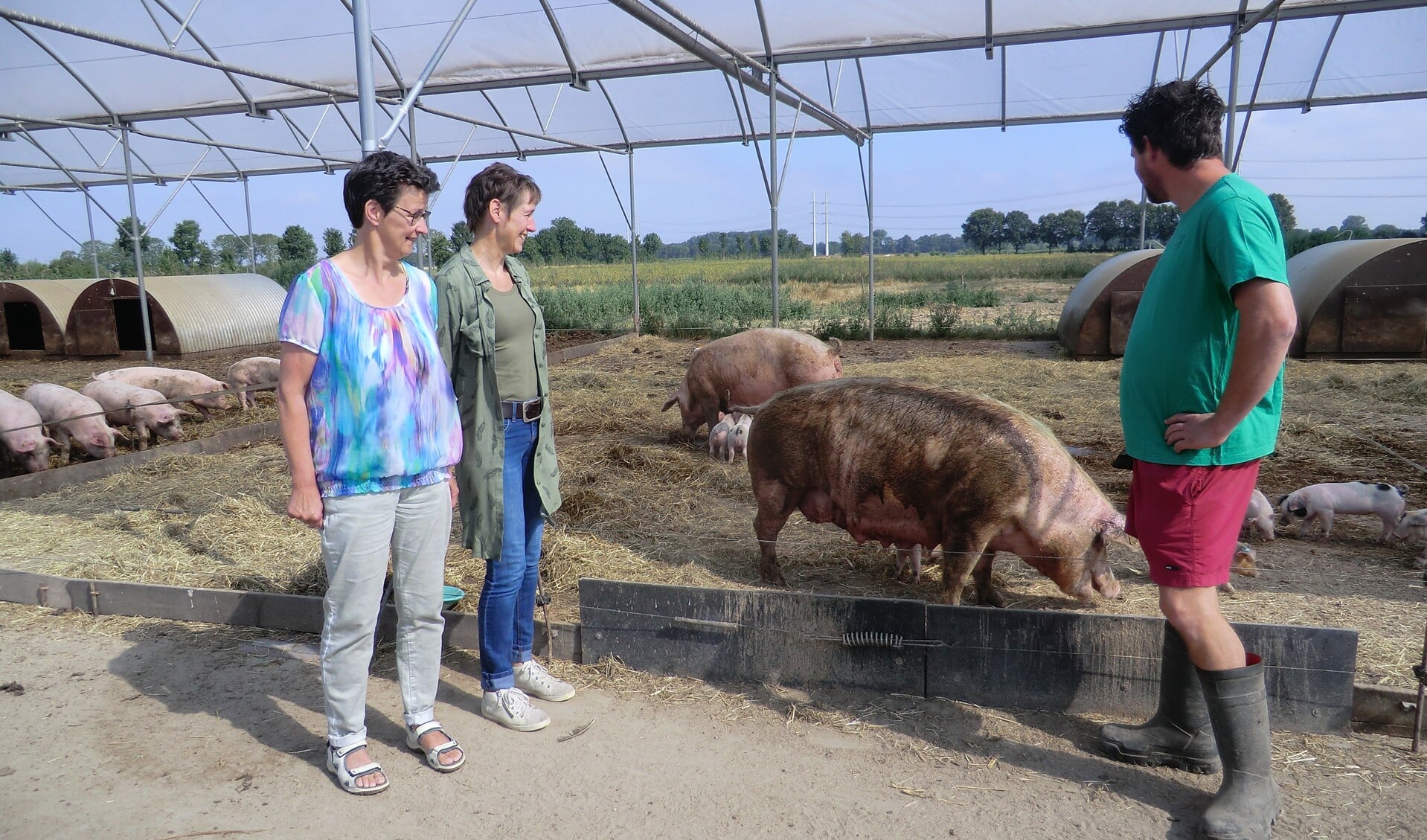 Marleen Mijnen, Anja Steverink en Sander Kerkhoffs (vlnr) kijken naar de varkens. Foto: Walter Hobelman
