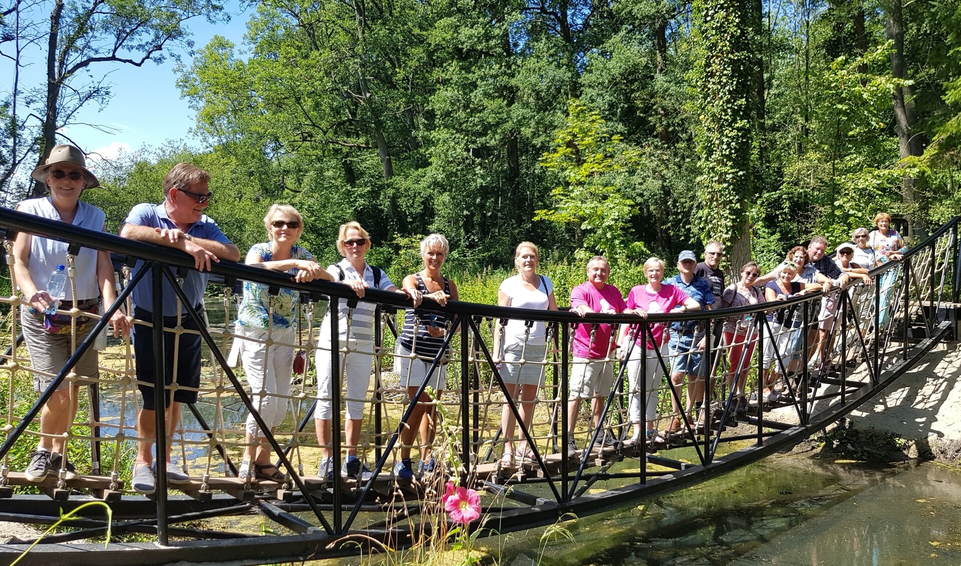 Besselink en Helmich in het rose wandelshirt van de gemeente worden geflankeerd door de medewandelaars op de wiebelige touwbrug in het Hertenbosch. Foto: Alice Rouwhorst