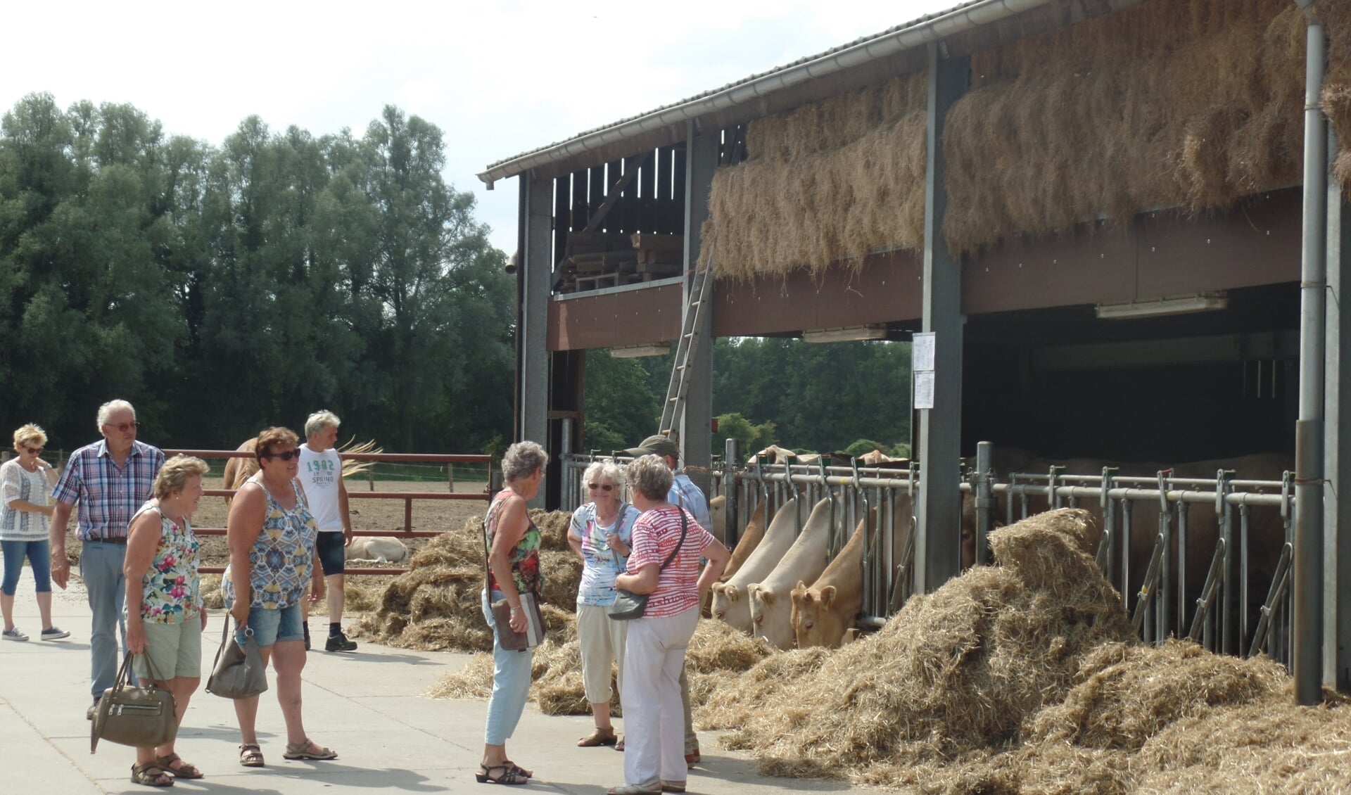 Als laatste werd het bedrijf van Wim en Linda Rietman aan de Baakseweg in Hackfort bezocht. Foto: Jan Hendriksen. 