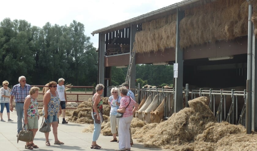 Als laatste werd het bedrijf van Wim en Linda Rietman aan de Baakseweg in Hackfort bezocht. Foto: Jan Hendriksen.