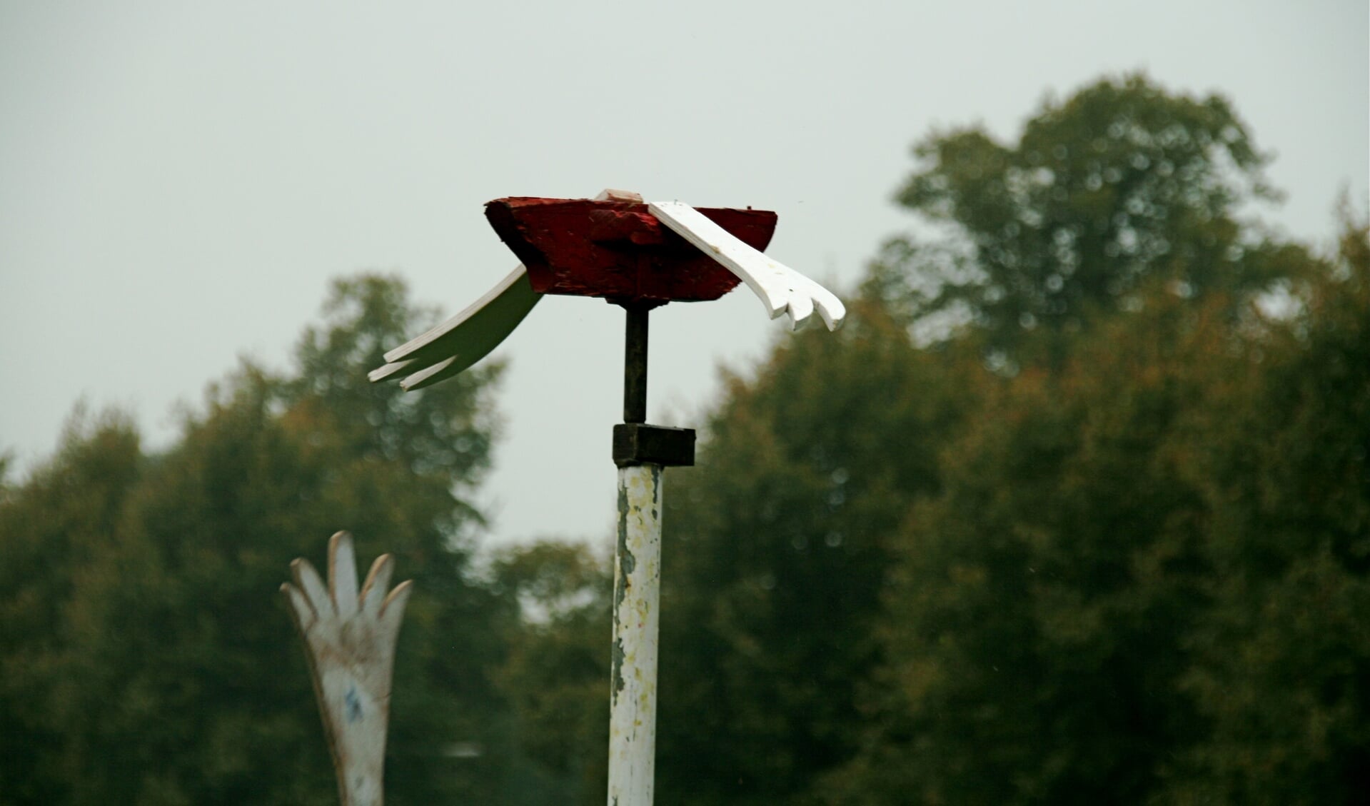 Tijdens het vogelknuppelen wordt de staart geraakt. Foto: Albert Scheper