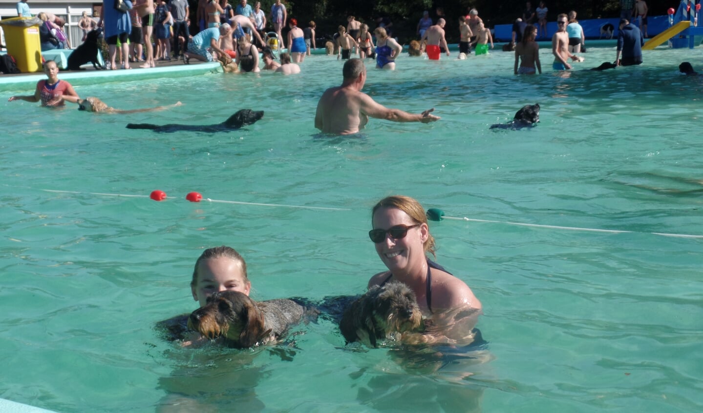 Op zondag 23 september mogen baas en hond weer samen zwemmen in De Meene. Foto: Jan Hendriksen