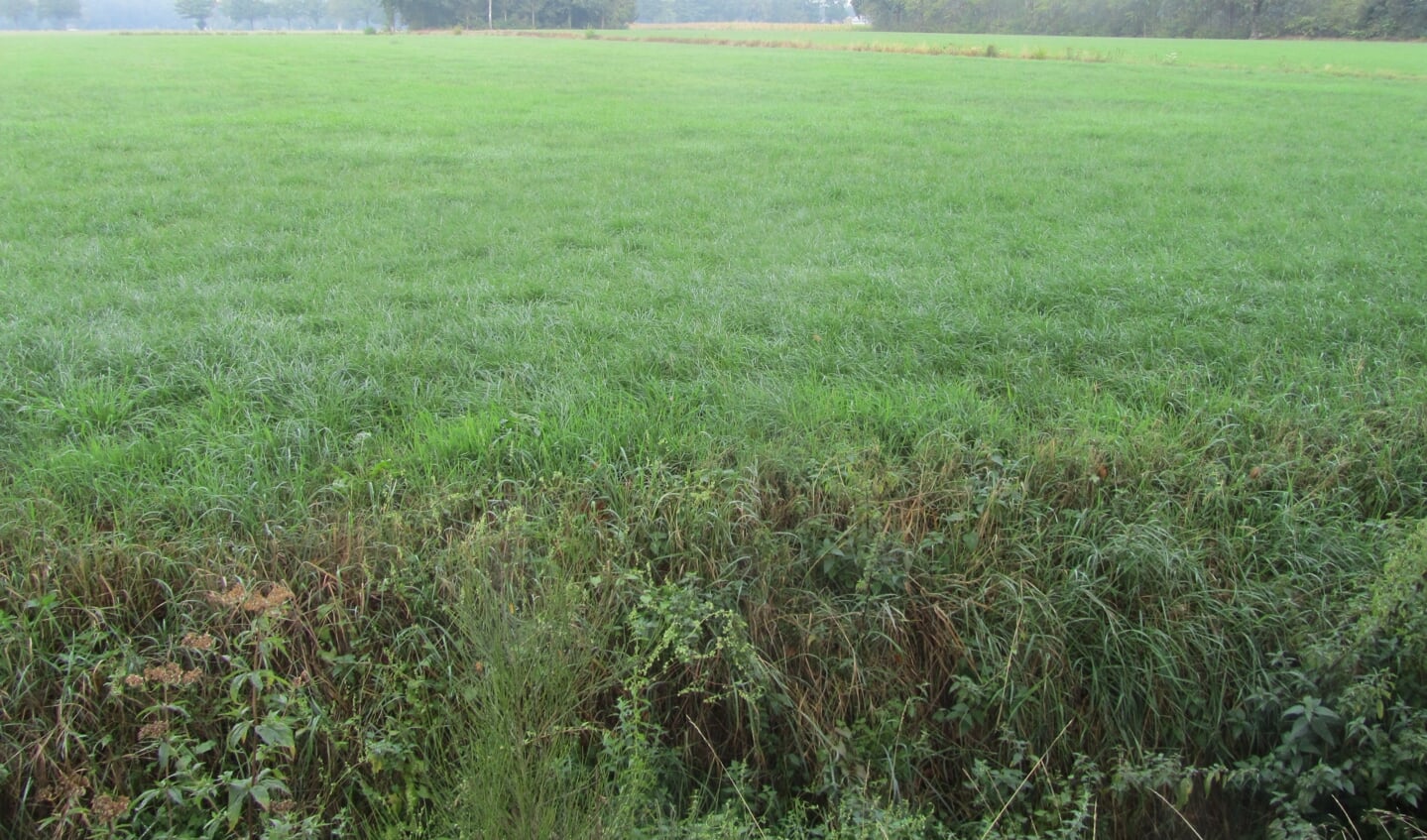 Het uitzicht richting Kienveenweg. Foto: Bernhard Harfsterkamp