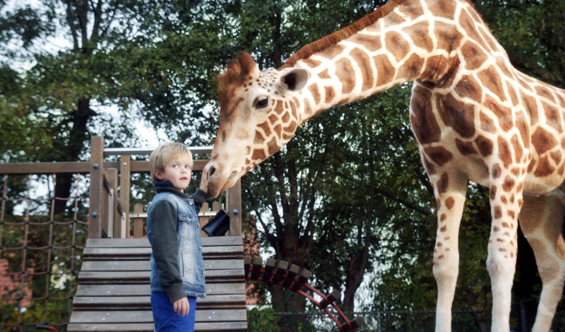 Dikkertje Dap met de giraf. Foto: PR
