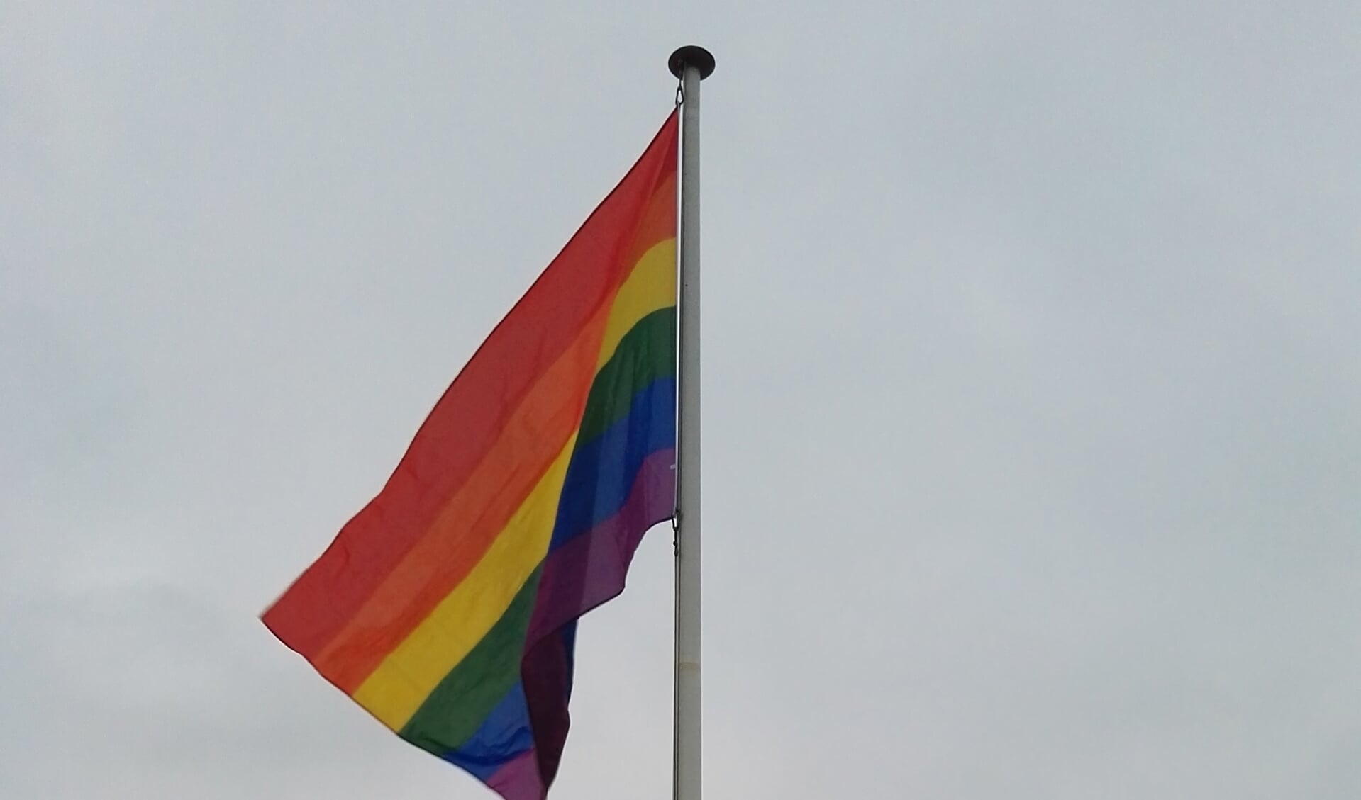 De regenboogvlag. Foto: Rob Weeber