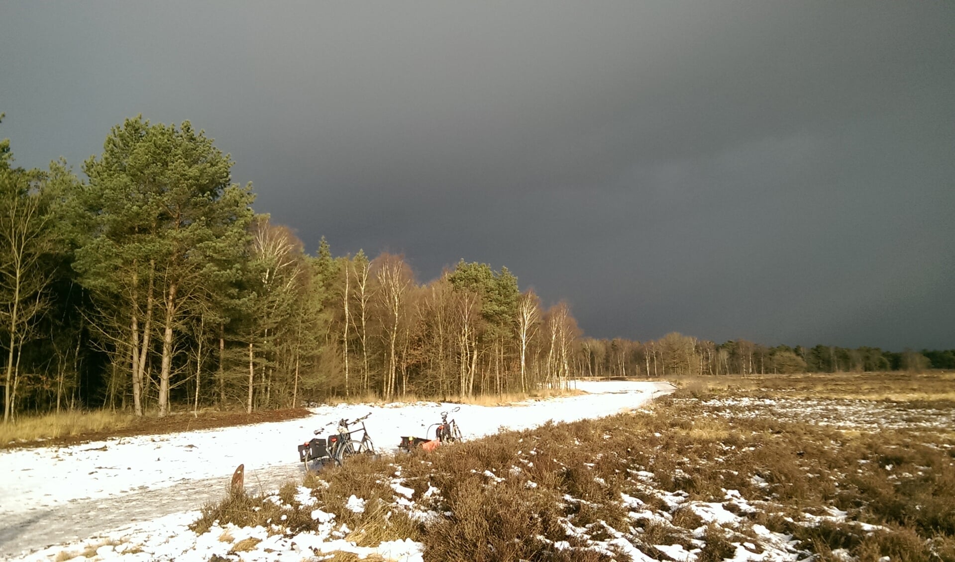 De Gorsselse Heide. Foto:PR