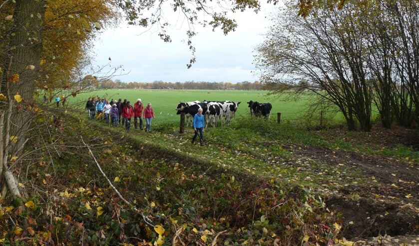 Gengelen in Vragender. Foto; PR