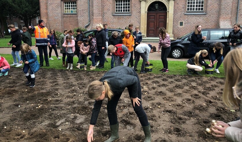 Leerlingen poten de bloembollen en stonden stil bij de verwoestingen tijdens de oorlog. Foto: Christa van Dee