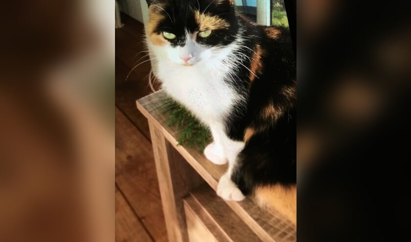 Kiki uit Beltrum. Foto: PR