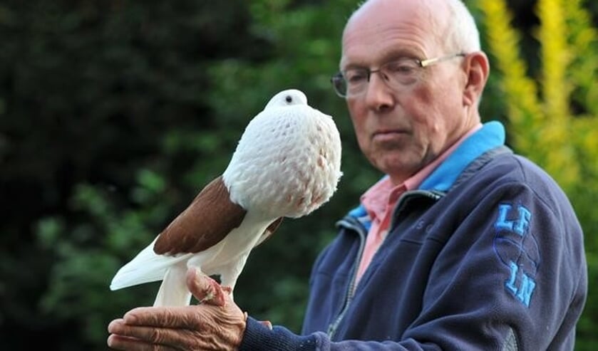 Harry Aalbers uit Winterswijk met een Voorburgse Schildkropperduif. Foto: Tonnie Buil