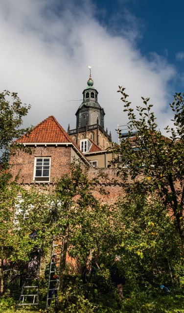 In het zicht van de Walburgtoren binnen de oude stadsmuur worden hoogstamfruitbomen gesnoeid door de Zutphense Hoogstambrigade. Foto: Henk Derksen