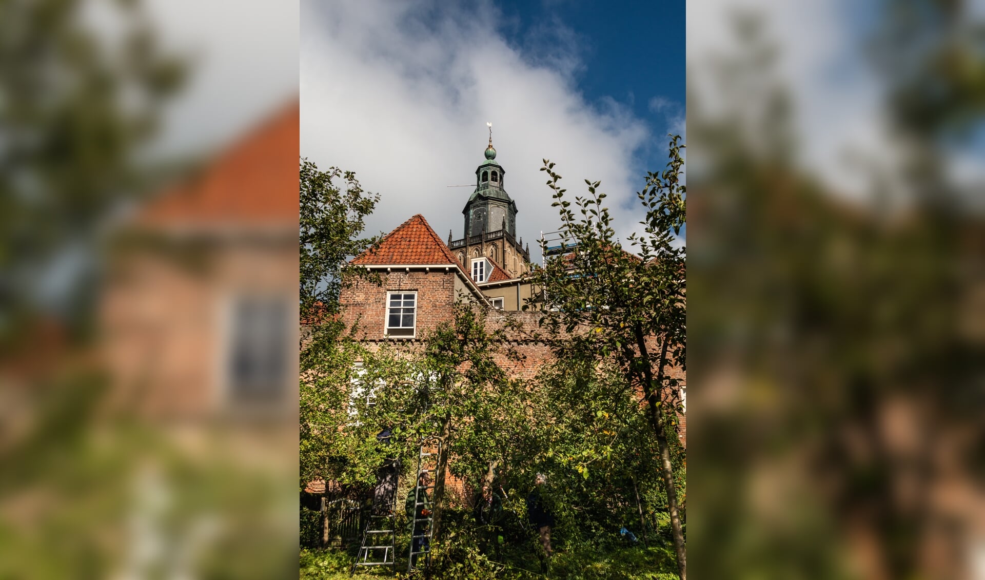 In het zicht van de Walburgtoren binnen de oude stadsmuur worden hoogstamfruitbomen gesnoeid door de Zutphense Hoogstambrigade. Foto: Henk Derksen 