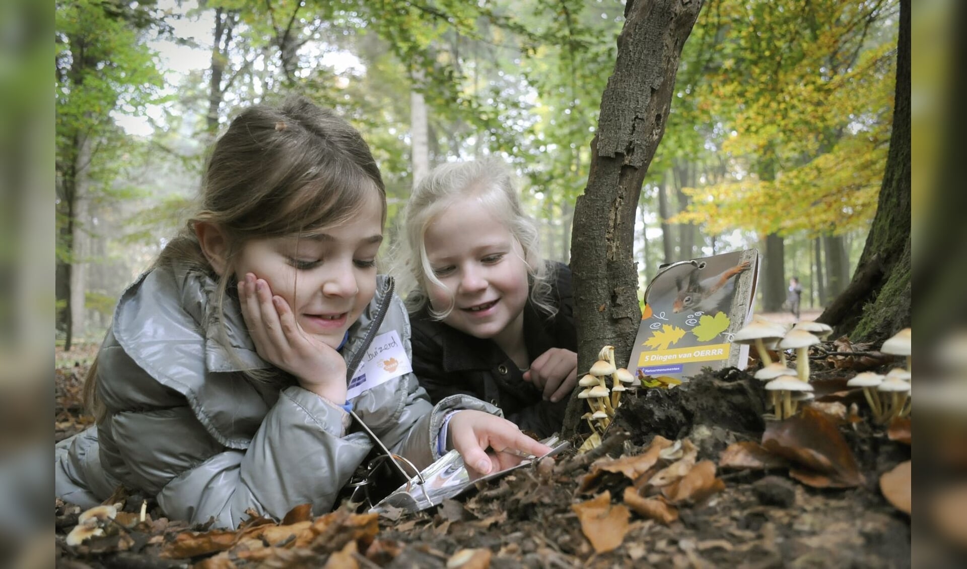 Paddenstoelen ontdekken. Foto: Natuurmonumenten