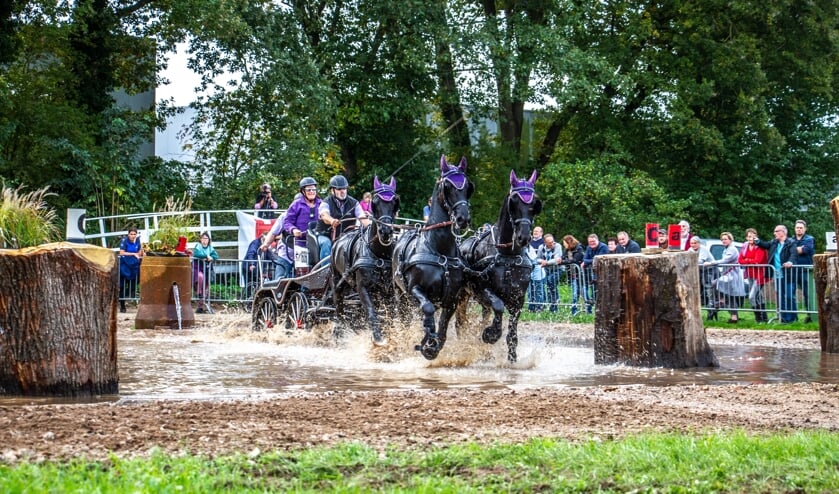 Dit vierspan maakte indruk op het publiek tijdens de Samengestelde wedstrijd. Foto: Liesbeth Spaansen