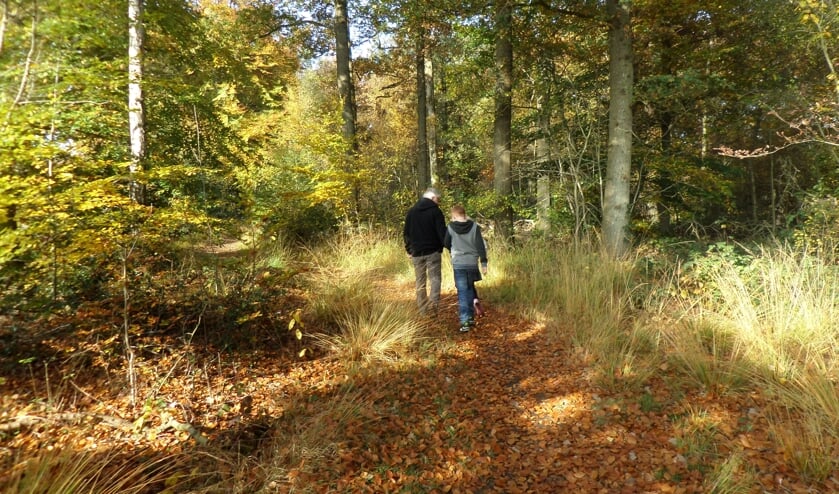 Genieten van de natuur tijdens de herfstwandeling. Foto: PR