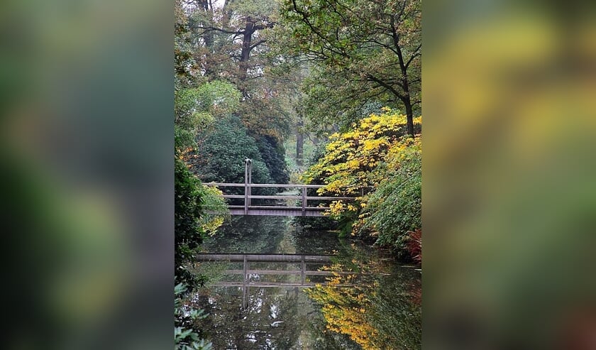 Kleuren van de herfst tijdens de open tuindagen van de Wiersse. Foto: De Wiersse