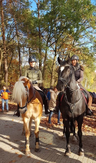 Te paard of met een aanspanning genieten van het herfstlandschap. Foto: PR