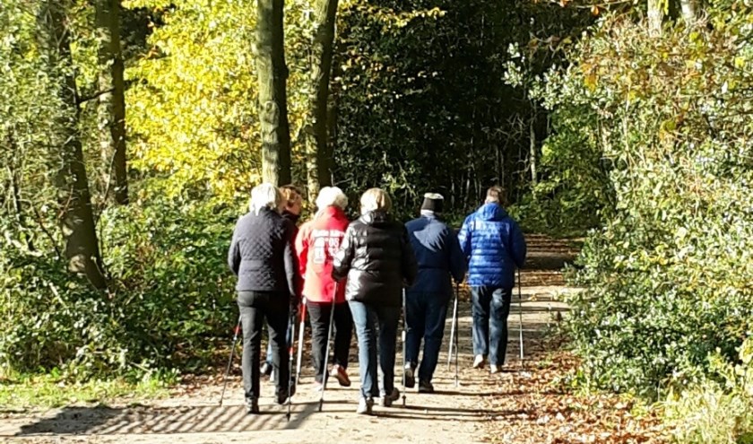 De wandelaars genoten van de prachtige herfstkleuren. Foto: PR.