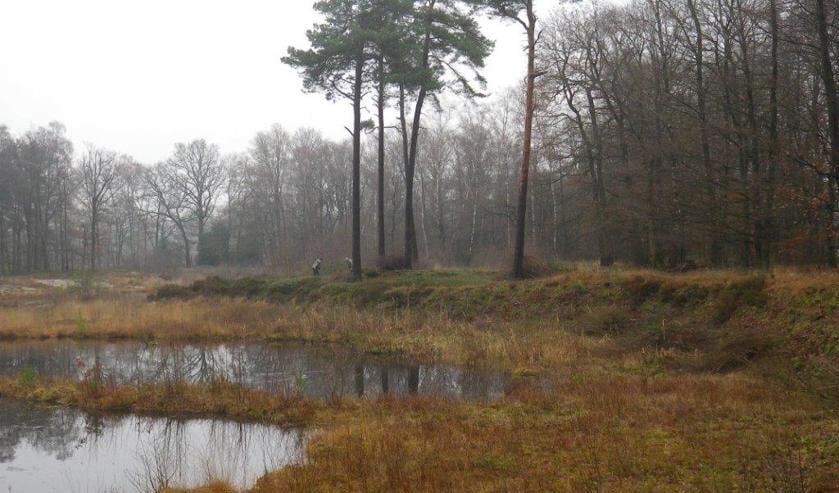 't Nonnenven aan de Borkense Baan.