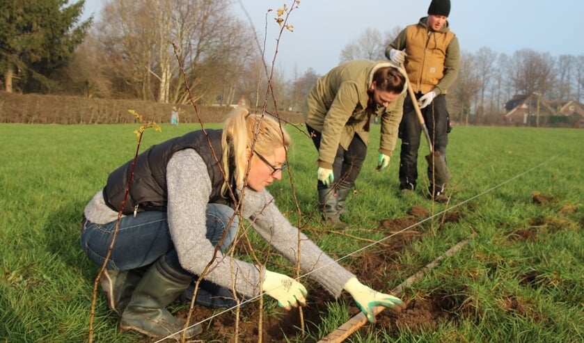 Dankzij deze actie worden lijnvormige elementen in het landschap weer aangeplant. Foto: SLG