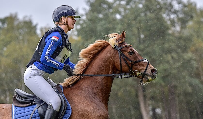 Chelsea Hogeslag