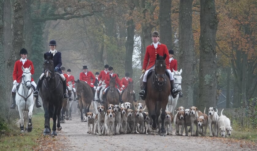 Ruim veertig amazones en ruiters namen deel aan de Barchemse slipjacht. Foto: Gradus Derksen