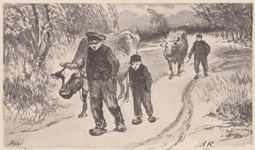 Een illustratie uit het boek Eigen schuld. Foto: PR