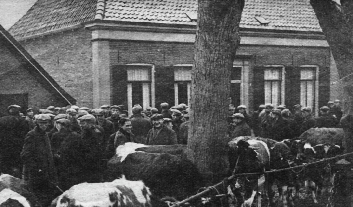 De 'koldemarkt' of novembermarkt in 1935 waar vee verhandeld werd. Hier staan ze aan het koord dat gespannen is door de ringen aan de bomen. Foto: Stichting Oud Zelhem