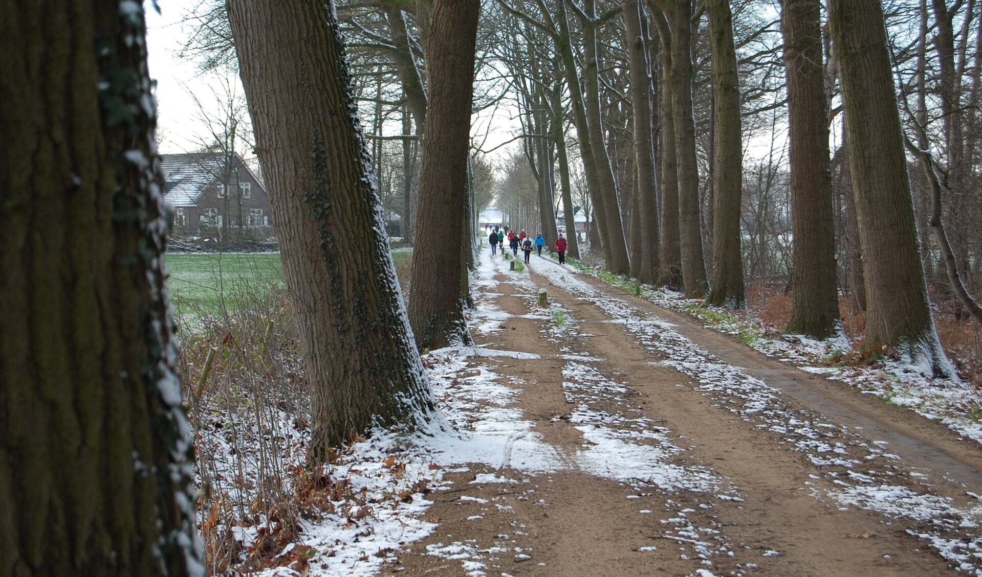 Het is twee jaar geleden dat er sneeuw lag tijdens het wandelweekend; hoe het nu zal zijn is nog koffiedik kijken. Foto: PR