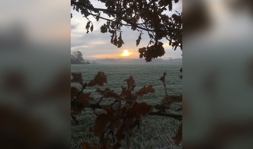 Opkomende zon