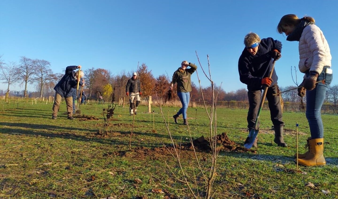 Door leden van Vereniging Bomenbelang Bronckhorst en andere belangstellenden werden 320 boompjes geplant in Hengelo. Foto: Feikje Breimer