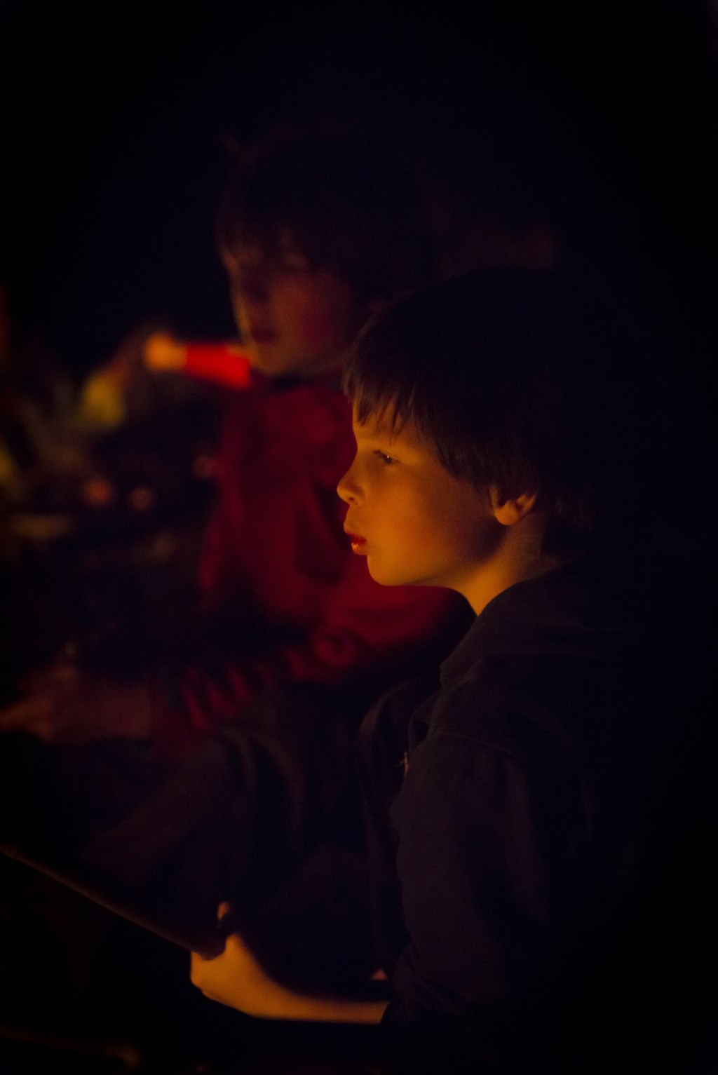 Lichtjestocht op Landgoed Mentink. Foto: ©Natuurmonumenten-René Koster