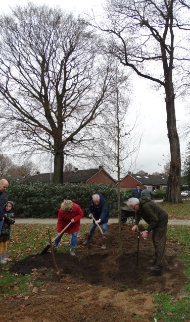 Enkele omwonenden van park De Braamberg hielpen mee met het planten een hopbeuk. Foto: Gerlinde Bulten