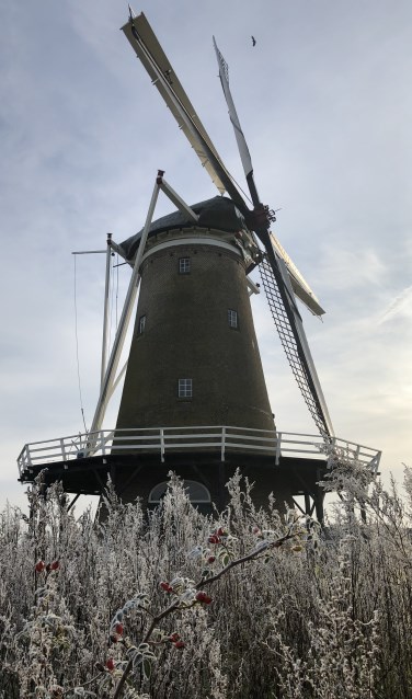 De Hollandsche Molen in Neede. Foto: Rieta van der Linde