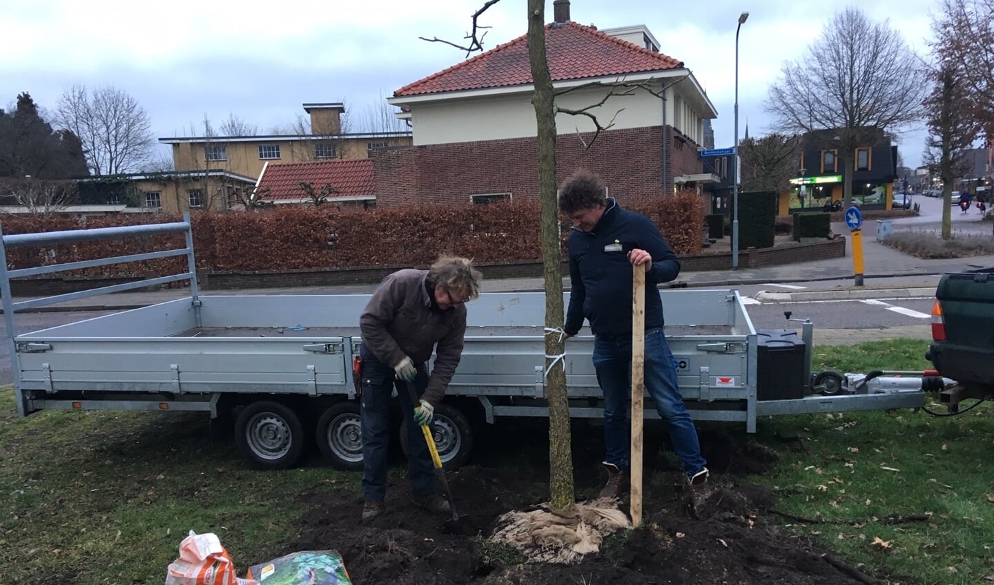 Hovenier Oswald te Dorsthorst en kweker Eltjo Rendering planten een boom op het remiseplantsoen aan de Varsseveldseweg. Foto: Barbara Pavinati