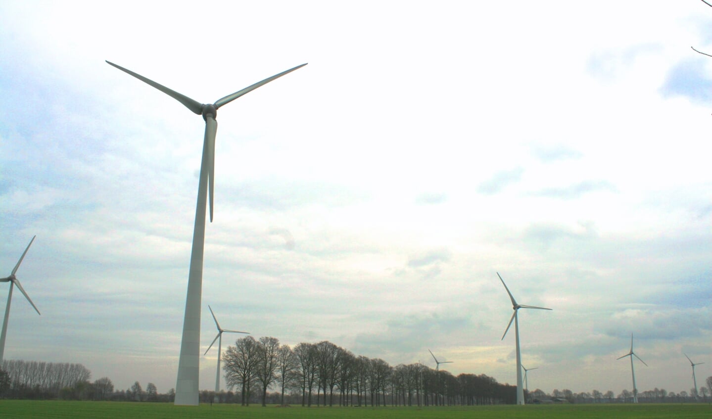 Windmolenpark Hagewind levert aan 10.000 huishoudens elektrische energie. Foto: Jos Betting