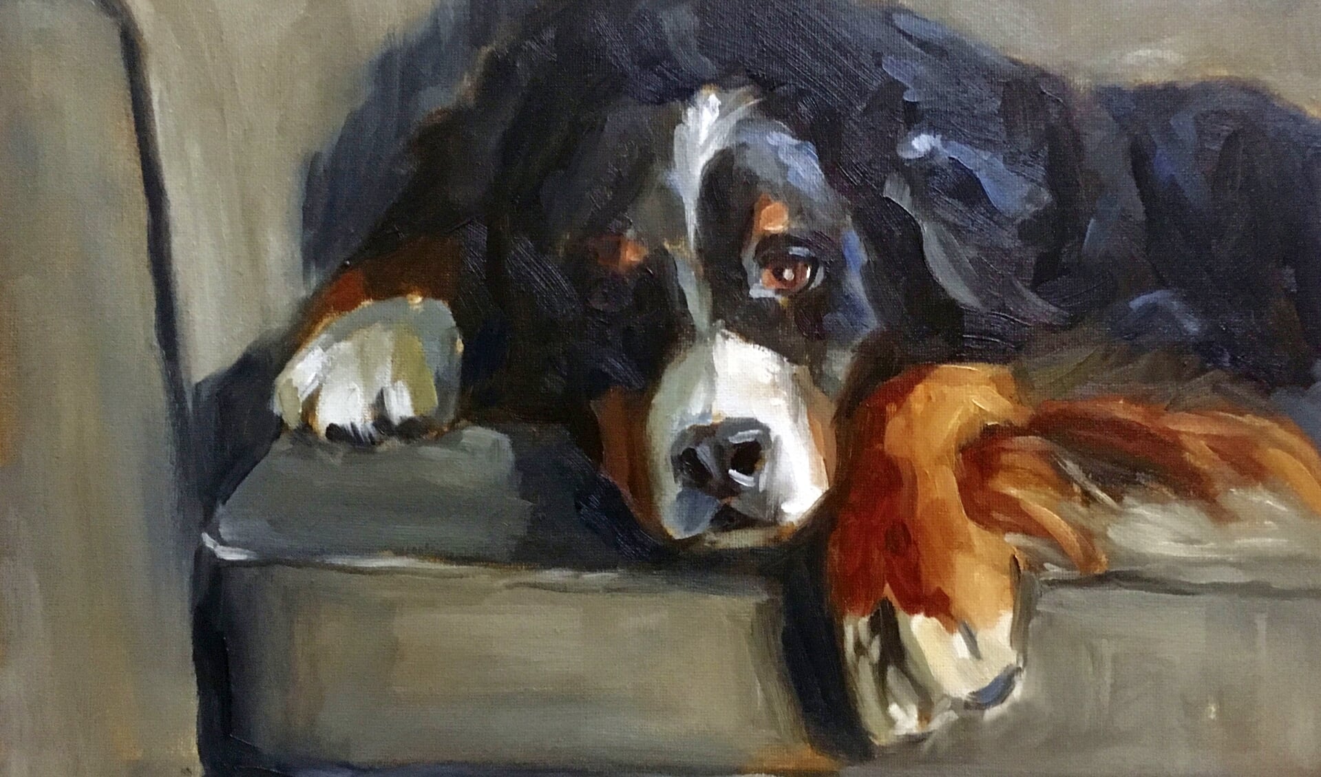 Mirjam Laerveer portretteerde een zwaar hondenleven. Foto: PR
