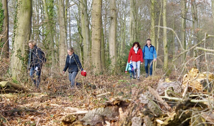 Wandelen in Winterswijk tijdens de 62ste Rode Kruis Wandeltocht. Foto: PR