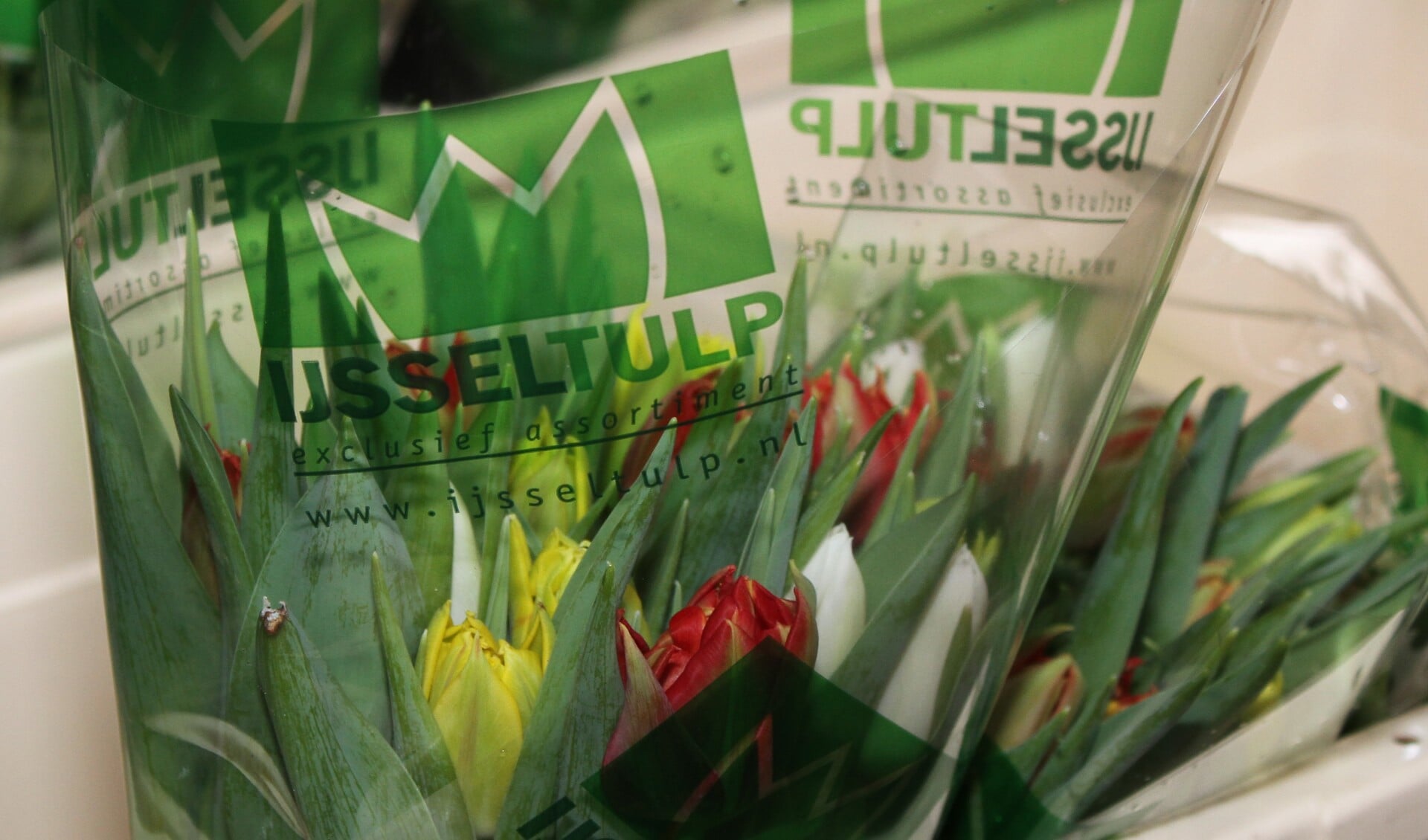 Lionsclub Bronckhorst houdt tulpenactie in de maand maart. Foto: Liesbeth Spaansen