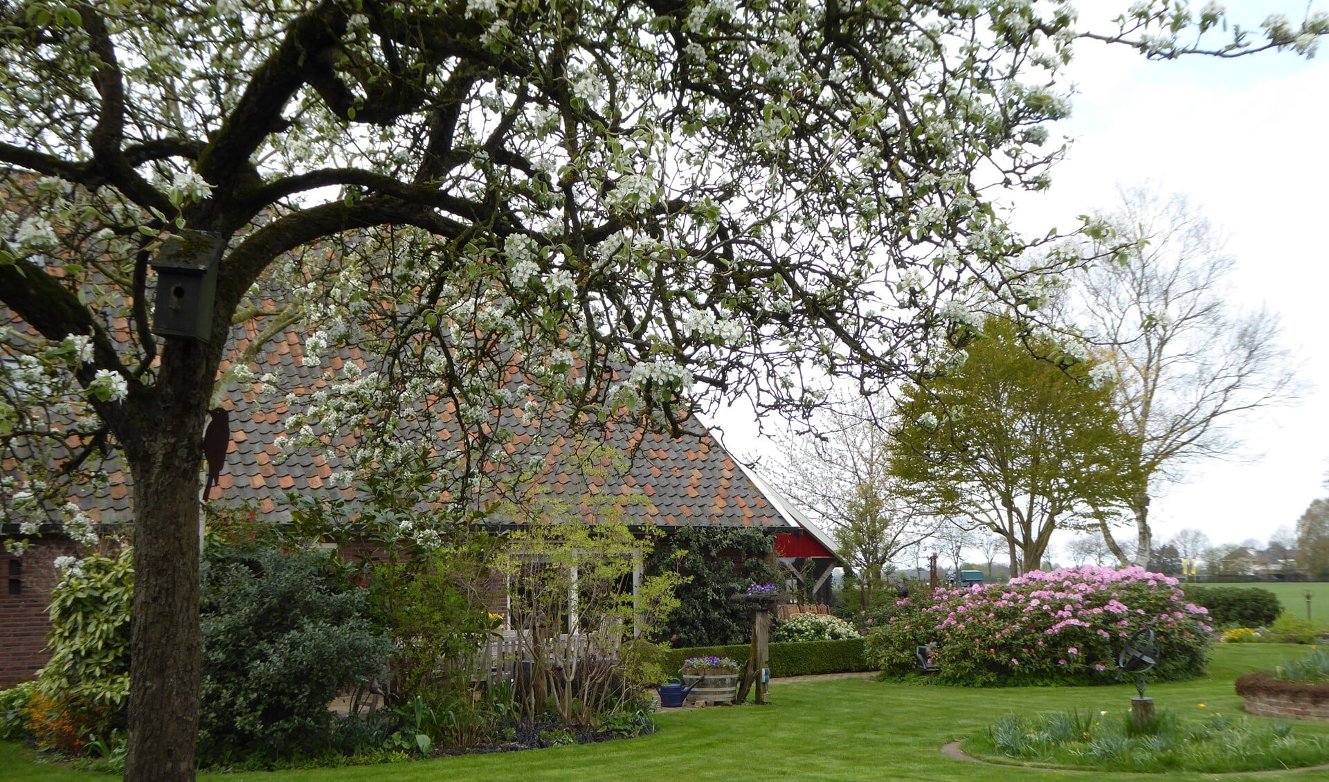 De heesters bloeien in de tuin van 't Meihuus. Foto: PR