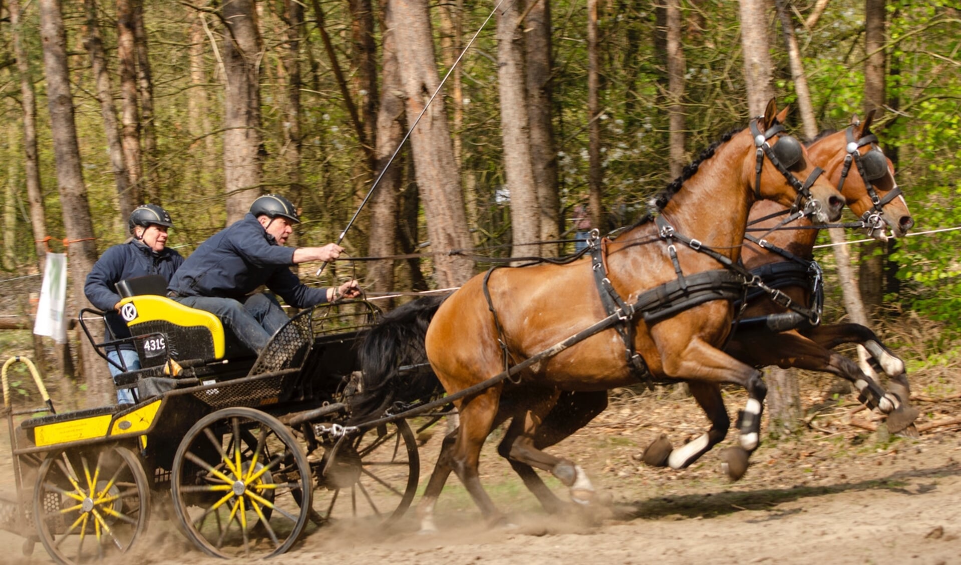 Jan Broeze won de rubriek tweespan paarden klasse L.Foto: Gerben Olthof