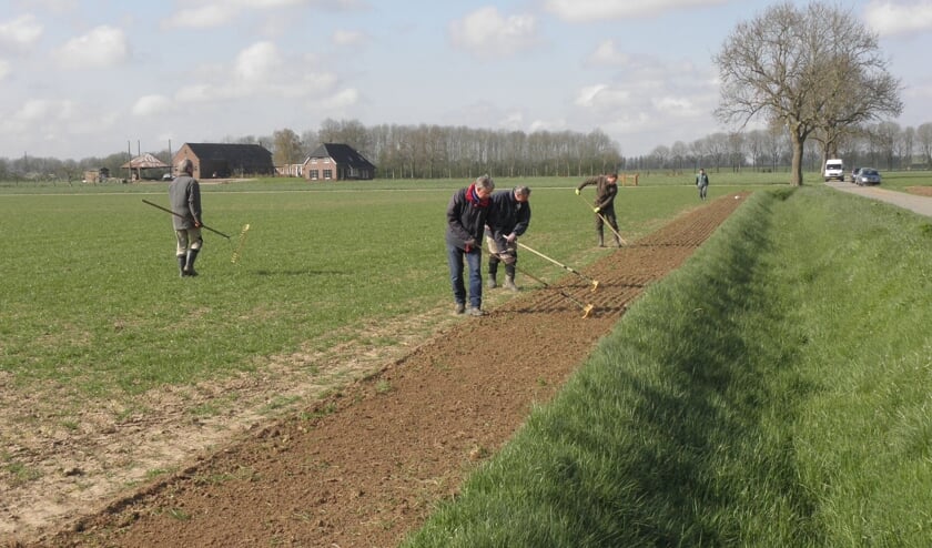 Inzaaien en onderwerken van het patrijzenmengsel door HSL vrijwilligers in de Luur. Foto: Jos Lohuis