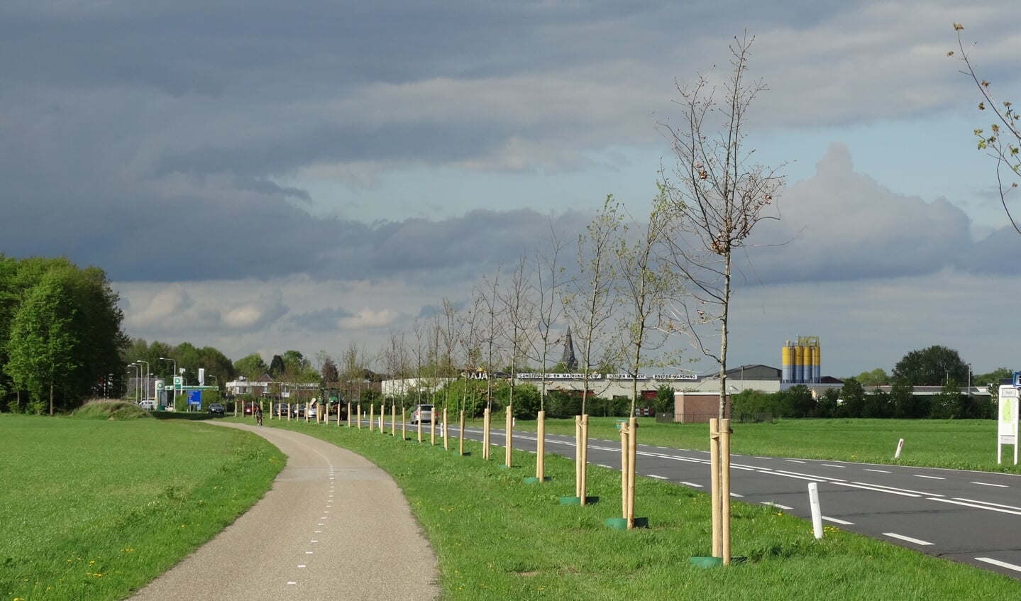 Deze bomen ter compensatie van de kap aan de N314 zijn weer weggehaald. Foto: Bomenbelang Bronckhorst/Gerlinde Bulten