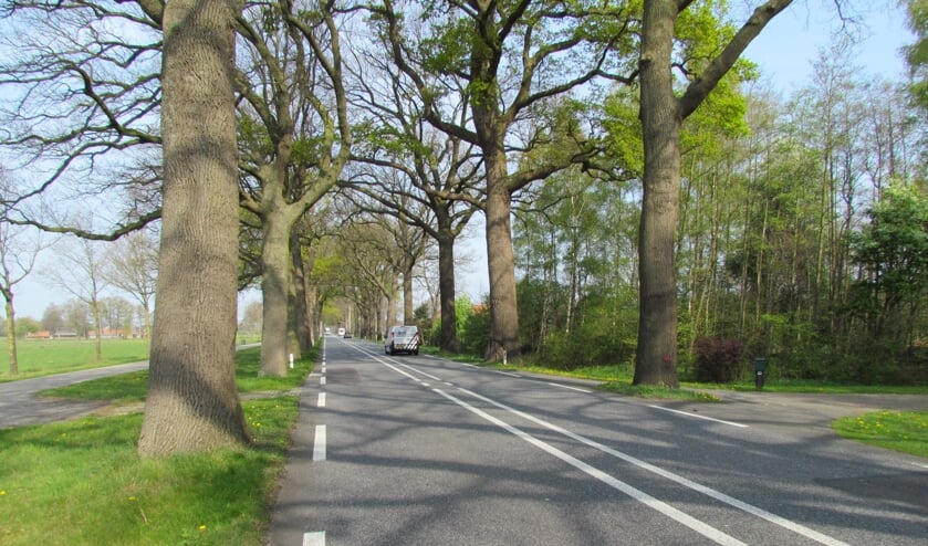 De N319. Foto: Rob Stevens