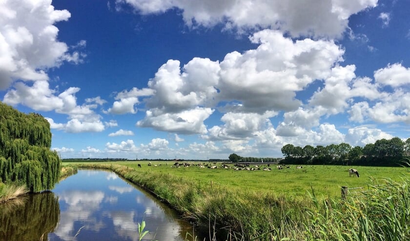 Een weerfoto van Paul Bouwens.