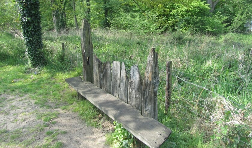 Het bankje aan de rand van de Bekendelle. Foto: Bernhard Harfsterkamp