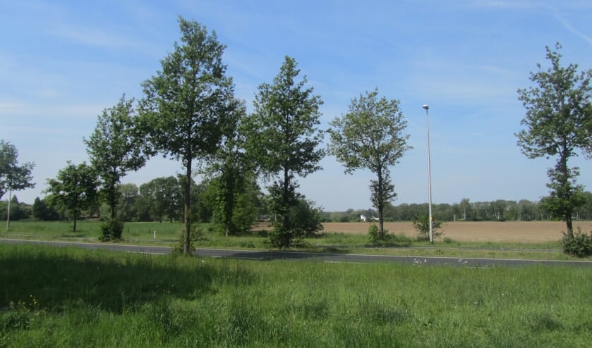 Het Tuunterveld is toch weer in beeld voor een nieuw bedrijventerrein. Foto: Bernhard Harfsterkamp