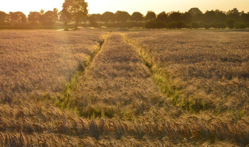 Wandelen door het prachtige landschap . Foto: PR