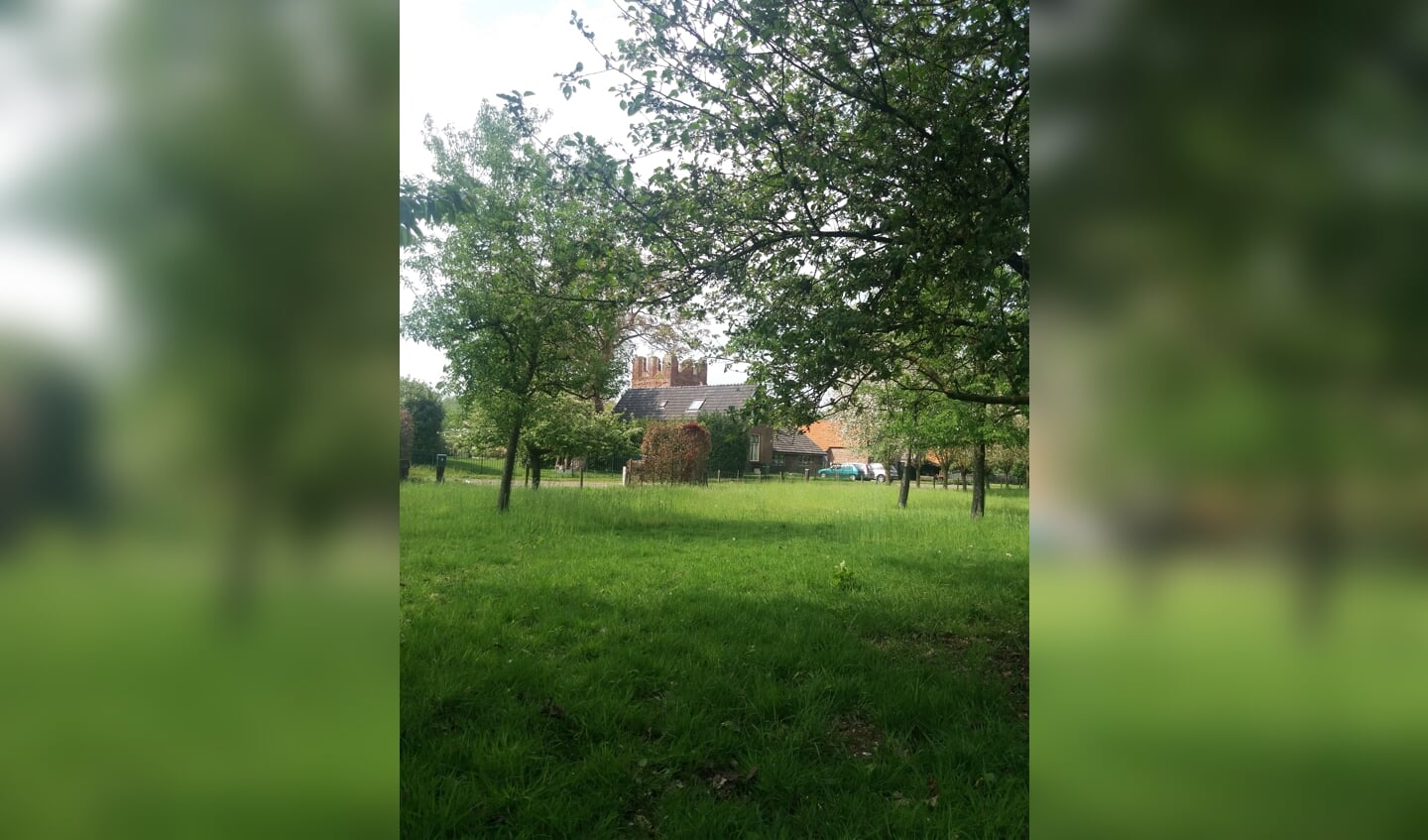 De hoogstamfruitboomgaard bij Hof te Baak en de Baakse Kapelruïne. Archieffoto: PR